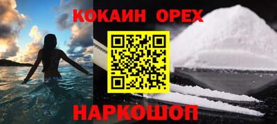 шишки Новодвинск