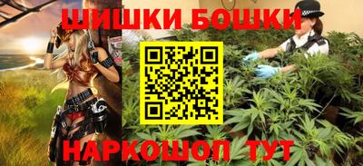 шишки Новодвинск