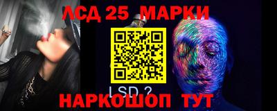 шишки Новодвинск