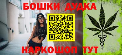 шишки Новодвинск