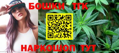 шишки Новодвинск
