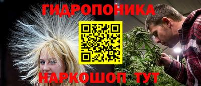 хмурый Новозыбков