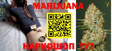 шишки Новодвинск