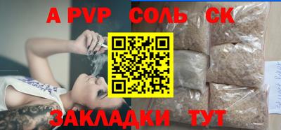 шишки Новодвинск