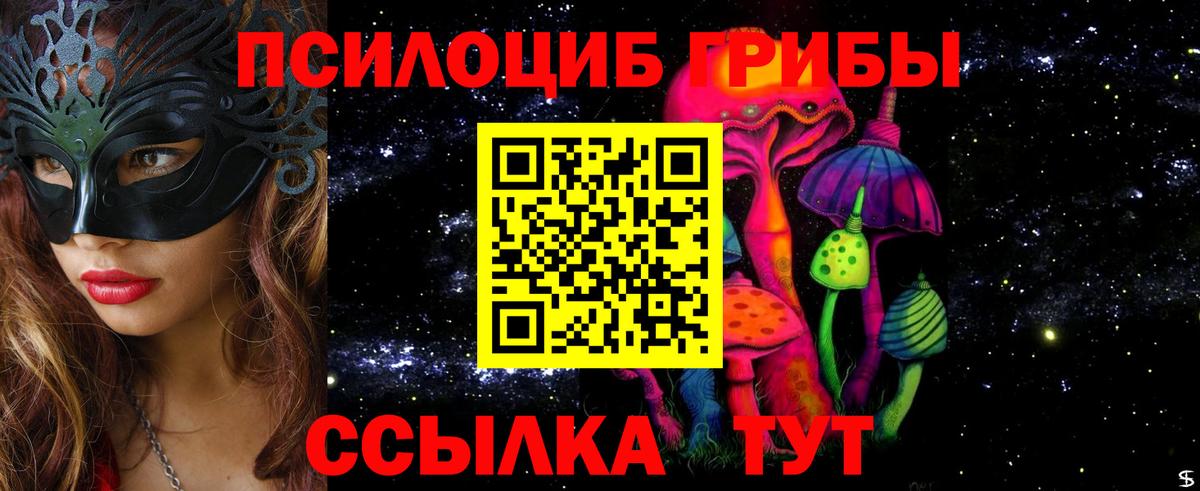 Псилоцибиновые грибы GOLDEN TEACHER  Вход с VPN  Видное 